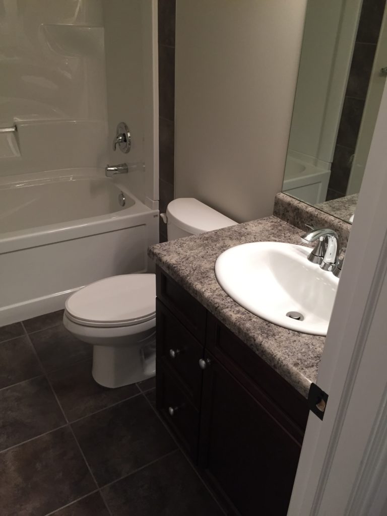 bathroom renovation