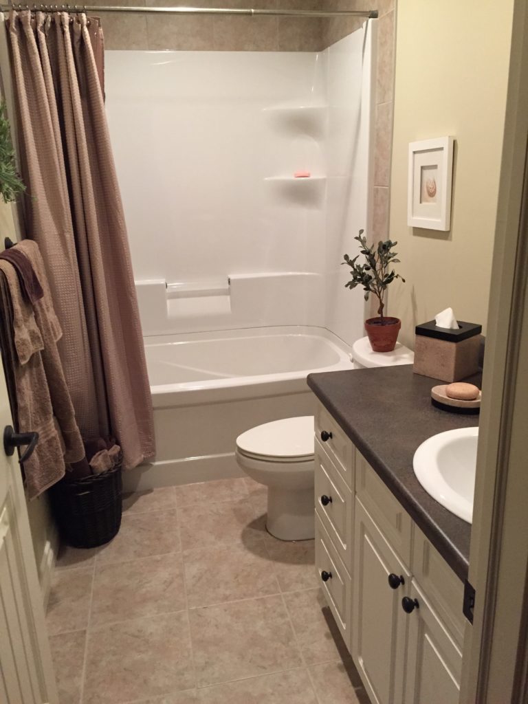 basement bathroom with tub